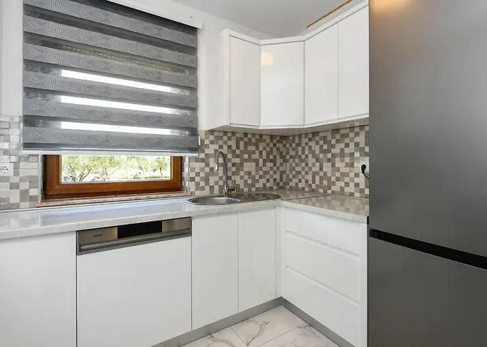 Lidija * אורביץ